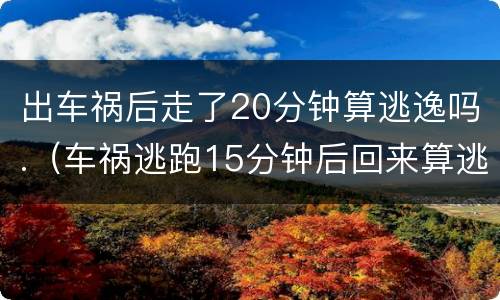出车祸后走了20分钟算逃逸吗.（车祸逃跑15分钟后回来算逃逸吗）
