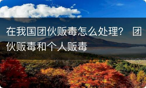 在我国团伙贩毒怎么处理？ 团伙贩毒和个人贩毒
