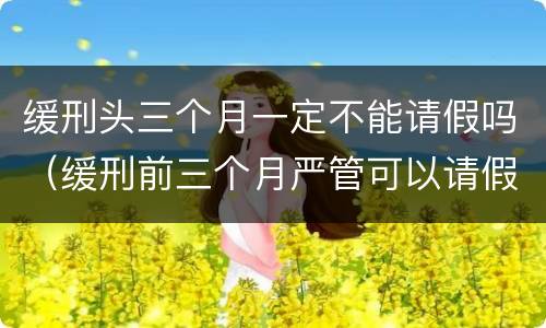 缓刑头三个月一定不能请假吗（缓刑前三个月严管可以请假出去吗）