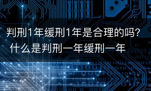 判刑1年缓刑1年是合理的吗？ 什么是判刑一年缓刑一年