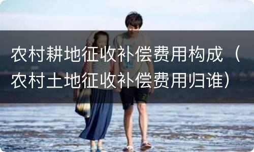 农村耕地征收补偿费用构成（农村土地征收补偿费用归谁）