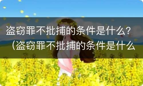 盗窃罪不批捕的条件是什么？（盗窃罪不批捕的条件是什么呢）
