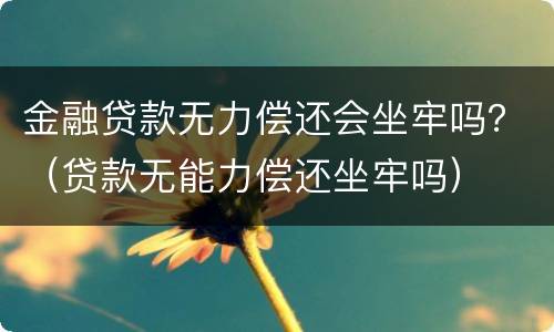 金融贷款无力偿还会坐牢吗？（贷款无能力偿还坐牢吗）