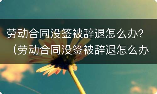 劳动合同没签被辞退怎么办？（劳动合同没签被辞退怎么办理）