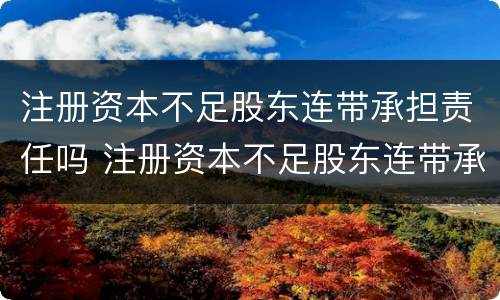注册资本不足股东连带承担责任吗 注册资本不足股东连带承担责任吗为什么