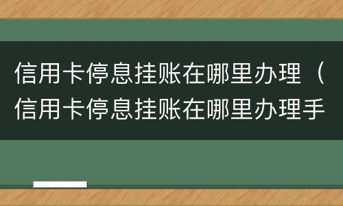信用卡停息挂账在哪里办理（信用卡停息挂账在哪里办理手续）