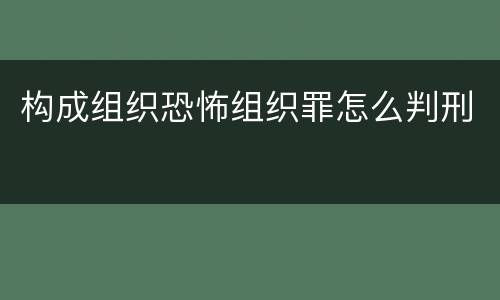 构成组织恐怖组织罪怎么判刑