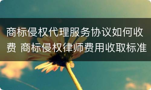 商标侵权代理服务协议如何收费 商标侵权律师费用收取标准