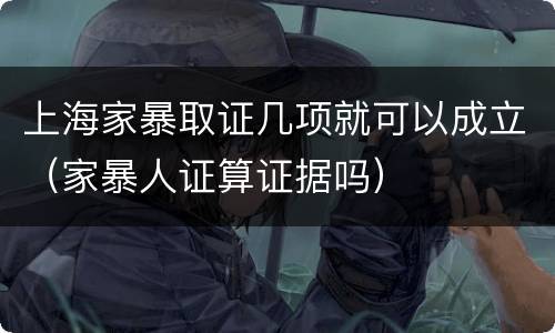 上海家暴取证几项就可以成立（家暴人证算证据吗）