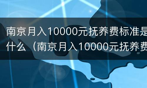 南京月入10000元抚养费标准是什么（南京月入10000元抚养费标准是什么样的）