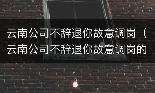 云南公司不辞退你故意调岗（云南公司不辞退你故意调岗的员工）