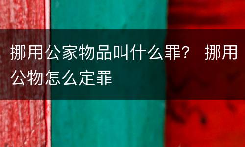 挪用公家物品叫什么罪？ 挪用公物怎么定罪