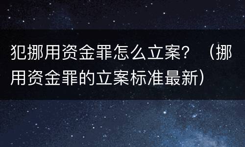 犯挪用资金罪怎么立案？（挪用资金罪的立案标准最新）