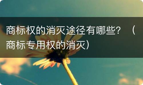 商标权的消灭途径有哪些？（商标专用权的消灭）