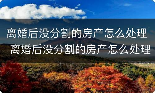 离婚后没分割的房产怎么处理 离婚后没分割的房产怎么处理最好