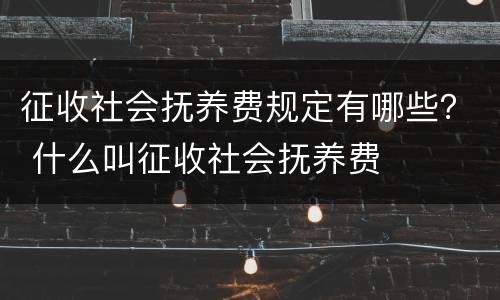 征收社会抚养费规定有哪些？ 什么叫征收社会抚养费