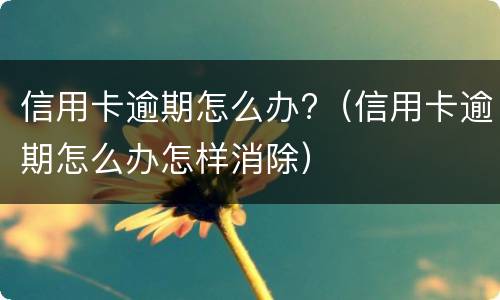 信用卡逾期怎么办?（信用卡逾期怎么办怎样消除）