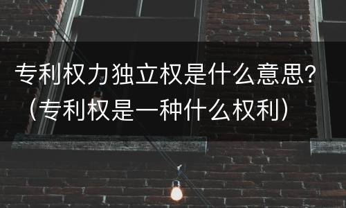 专利权力独立权是什么意思？（专利权是一种什么权利）