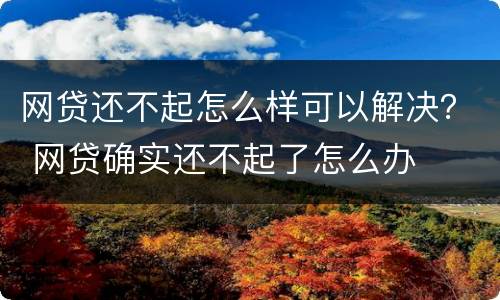 网贷还不起怎么样可以解决？ 网贷确实还不起了怎么办