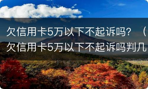 欠信用卡5万以下不起诉吗？（欠信用卡5万以下不起诉吗判几年）