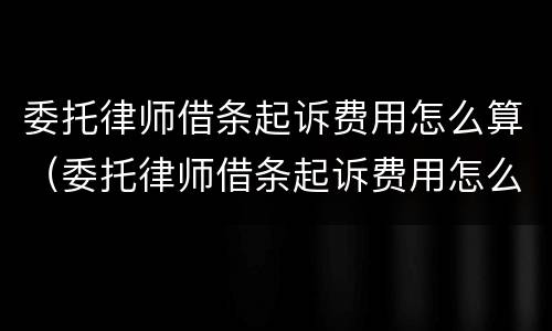 委托律师借条起诉费用怎么算（委托律师借条起诉费用怎么算的）