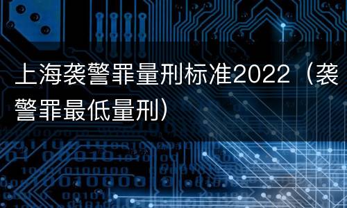 上海袭警罪量刑标准2022（袭警罪最低量刑）