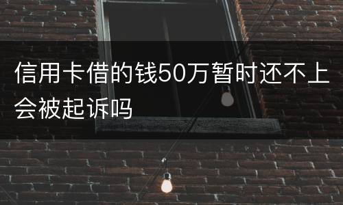 信用卡借的钱50万暂时还不上会被起诉吗