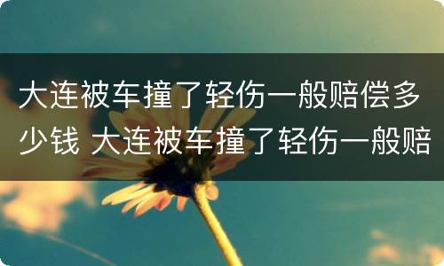 大连被车撞了轻伤一般赔偿多少钱 大连被车撞了轻伤一般赔偿多少钱啊