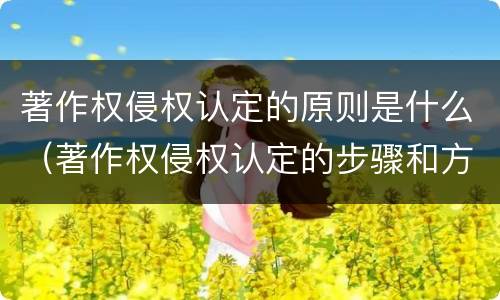 著作权侵权认定的原则是什么（著作权侵权认定的步骤和方法）