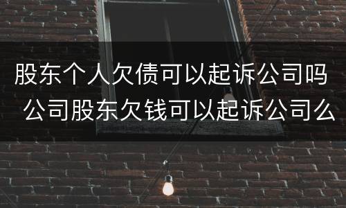 股东个人欠债可以起诉公司吗 公司股东欠钱可以起诉公司么