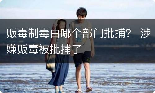 贩毒制毒由哪个部门批捕？ 涉嫌贩毒被批捕了