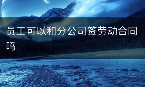 员工可以和分公司签劳动合同吗