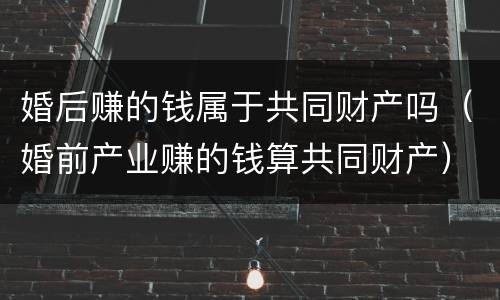 婚后赚的钱属于共同财产吗（婚前产业赚的钱算共同财产）