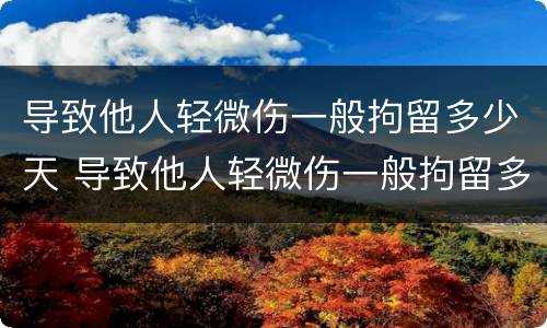 导致他人轻微伤一般拘留多少天 导致他人轻微伤一般拘留多少天呢
