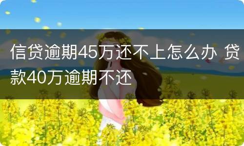 信贷逾期45万还不上怎么办 贷款40万逾期不还