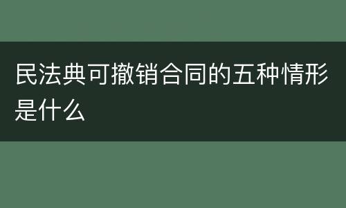 民法典可撤销合同的五种情形是什么
