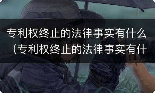专利权终止的法律事实有什么（专利权终止的法律事实有什么规定）