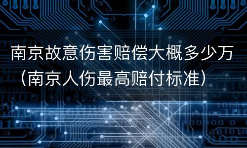 南京故意伤害赔偿大概多少万（南京人伤最高赔付标准）