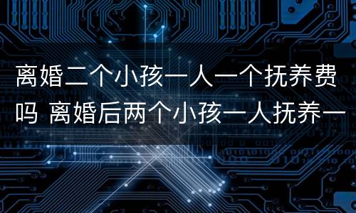 离婚二个小孩一人一个抚养费吗 离婚后两个小孩一人抚养一个费用如何承担