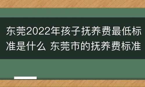 东莞2022年孩子抚养费最低标准是什么 东莞市的抚养费标准