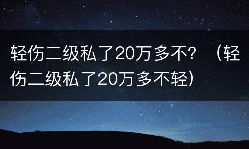 轻伤二级私了20万多不？（轻伤二级私了20万多不轻）