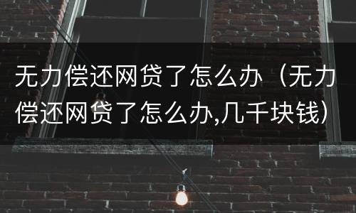 无力偿还网贷了怎么办（无力偿还网贷了怎么办,几千块钱）