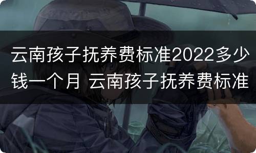 云南孩子抚养费标准2022多少钱一个月 云南孩子抚养费标准2022多少钱一个月呢