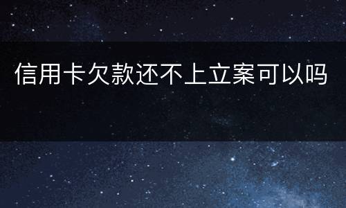 信用卡欠款还不上立案可以吗