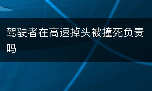 驾驶者在高速掉头被撞死负责吗