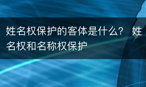 姓名权保护的客体是什么？ 姓名权和名称权保护