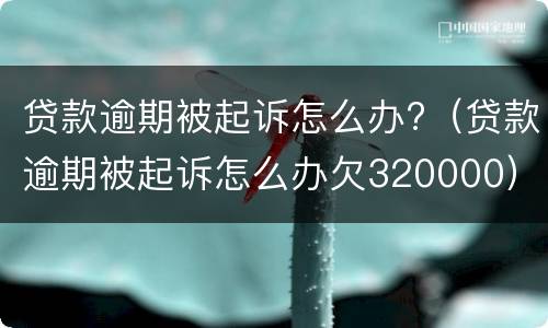 贷款逾期被起诉怎么办?（贷款逾期被起诉怎么办欠320000）