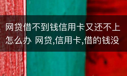 网贷借不到钱信用卡又还不上怎么办 网贷,信用卡,借的钱没有钱还怎么办
