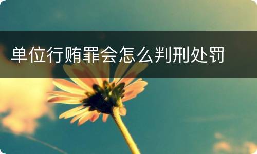 单位行贿罪会怎么判刑处罚