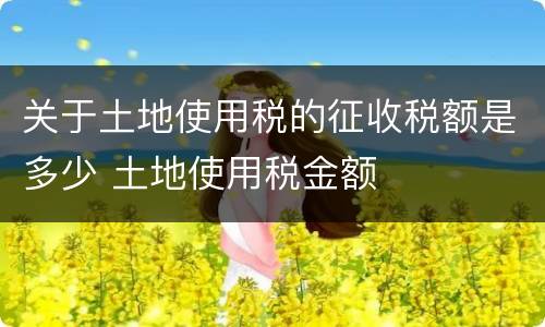 关于土地使用税的征收税额是多少 土地使用税金额